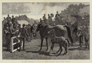 In the Paddock, a Sale of Brood-Mares and their Foals
